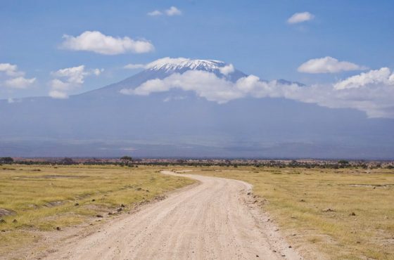 12 Days 11 Nights Kenya Combined Safari & Beach Trip