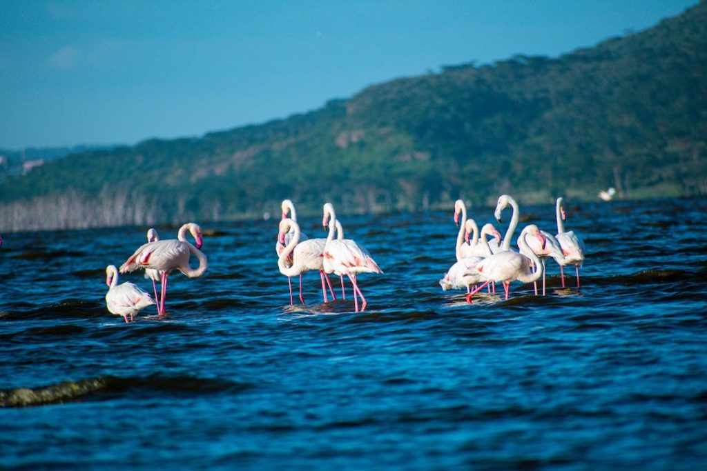 Lake Nakuru landscape